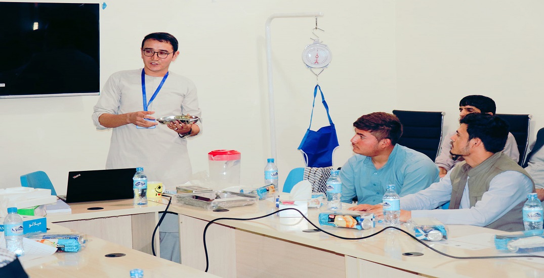 Instruction and explanations on how to use the distributed spices program